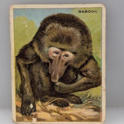 Sale Photo Thumbnail #673