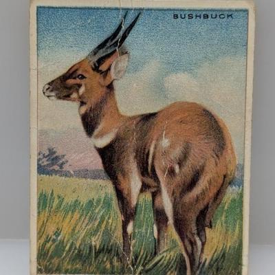 Sale Photo Thumbnail #685