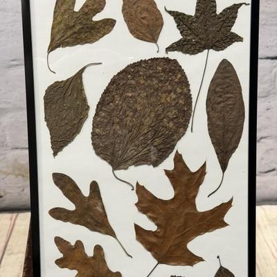 Sale Photo Thumbnail #73