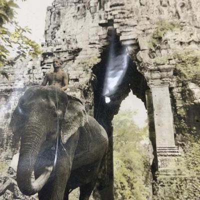 Sale Photo Thumbnail #194