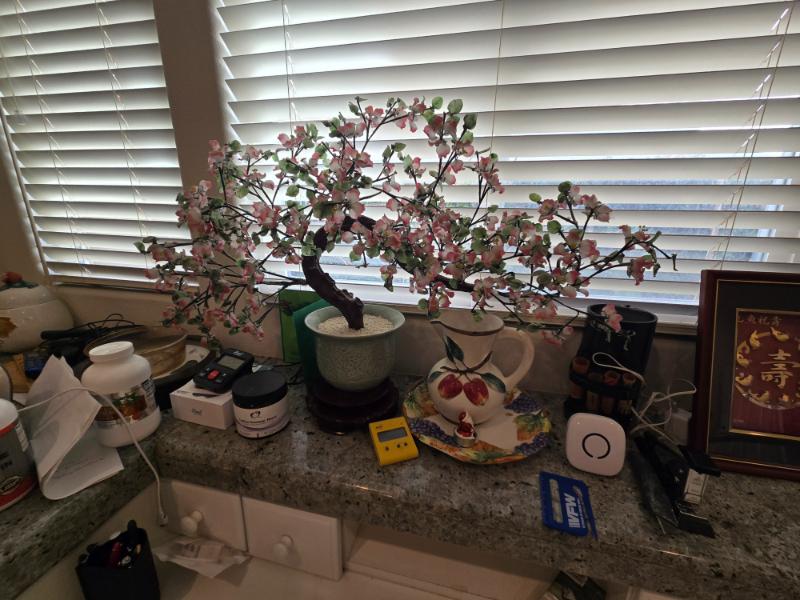 Sale Photo Thumbnail #18