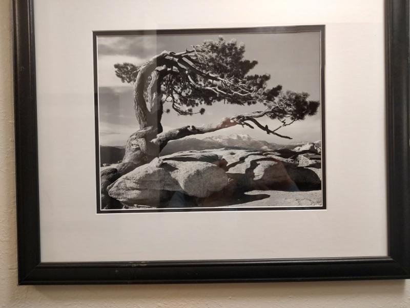 Sale Photo Thumbnail #23