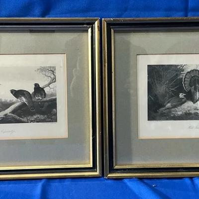 Archibald Thornirn Wild Turkey & Capercaillie Engraving Prints 