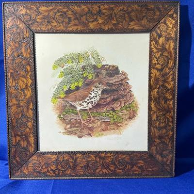 17x18 Don Whitlatch Ornithology Lithograph Of Wood Thrush 