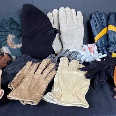 Men’s and Women’s Winter Gloves