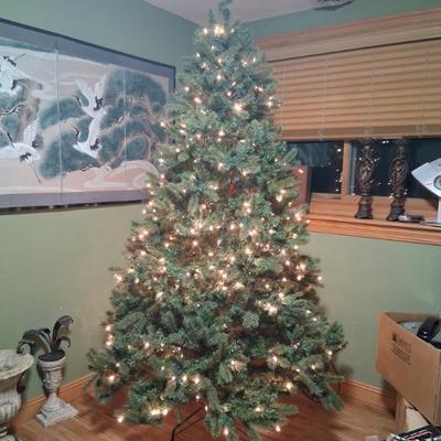 Sale Photo Thumbnail #15