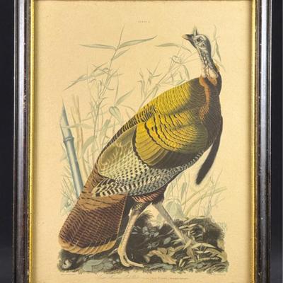 Sale Photo Thumbnail #238