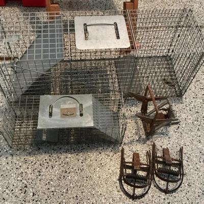 5 Animal Traps 