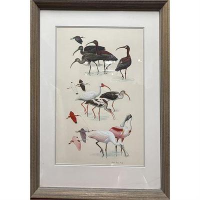 Lot 034   
Diane Pierce (Florida 1939-) Egrets and Cranes, 1983, Watercolor Lithograph