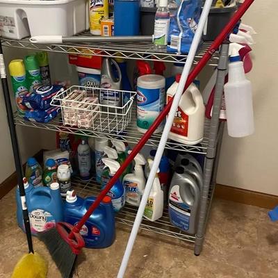 The Ultimate Clean Sweep: Loaded Household Cleaning Mystery Lot