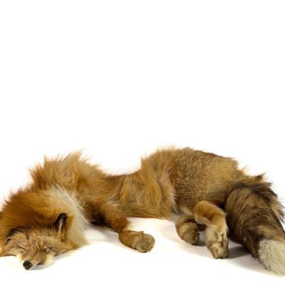 Sale Photo Thumbnail #16