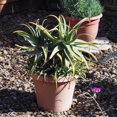 Sale Photo Thumbnail #119