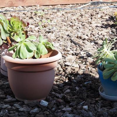 Sale Photo Thumbnail #121