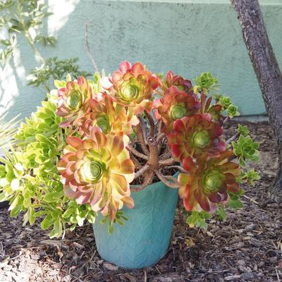 Sale Photo Thumbnail #125