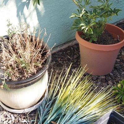 Sale Photo Thumbnail #123