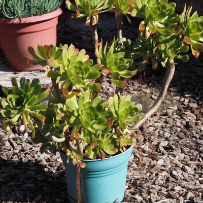 Sale Photo Thumbnail #120