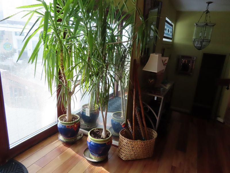 Sale Photo Thumbnail #42