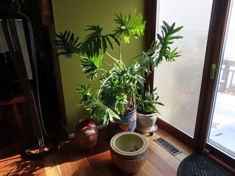 Sale Photo Thumbnail #40