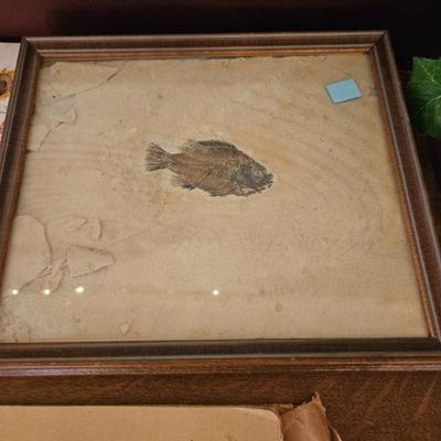 Sale Photo Thumbnail #15