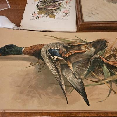 Sale Photo Thumbnail #16