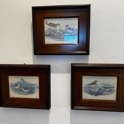 Three Bird Prints in Nice Thick Wood Frames