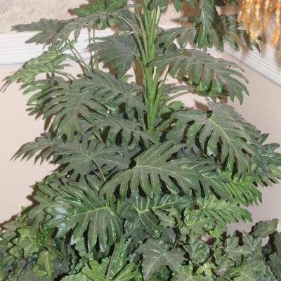 Sale Photo Thumbnail #24