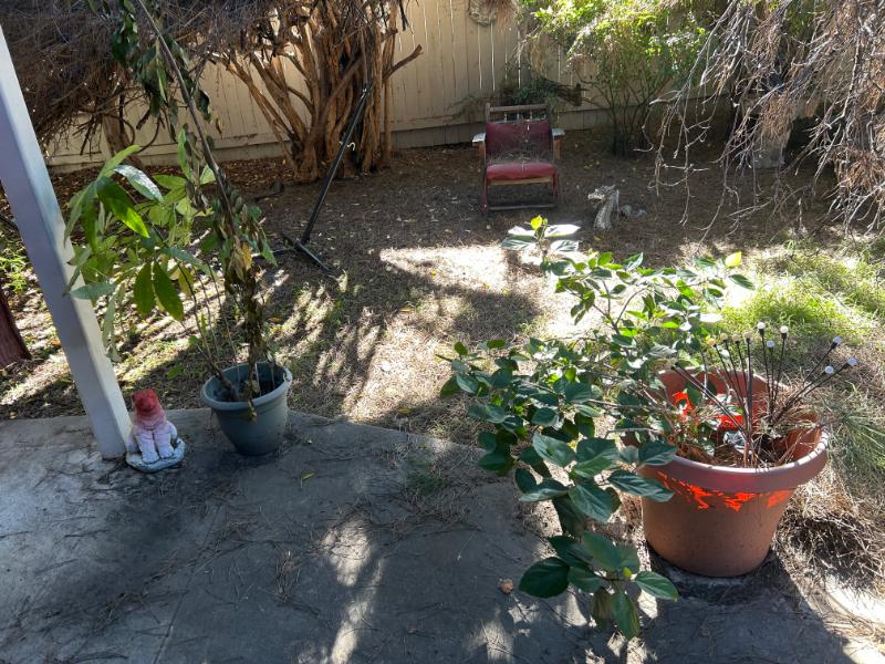 Sale Photo Thumbnail #126