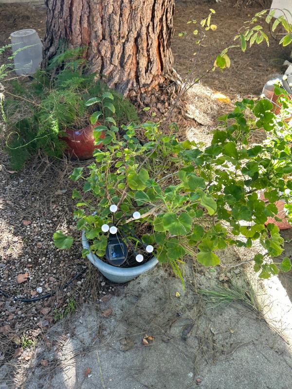 Sale Photo Thumbnail #128