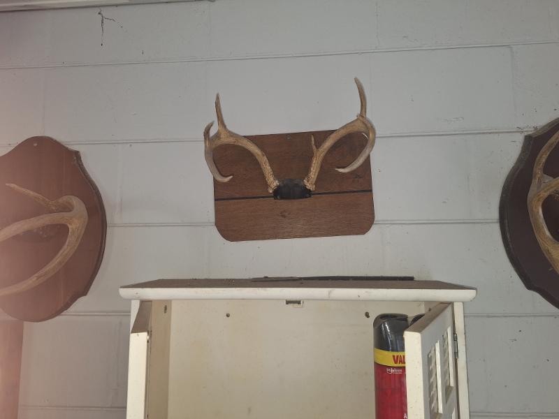 Sale Photo Thumbnail #3