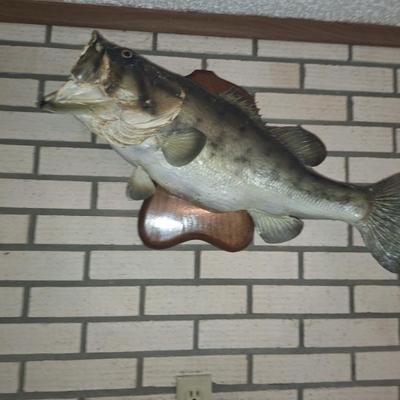 Sale Photo Thumbnail #86