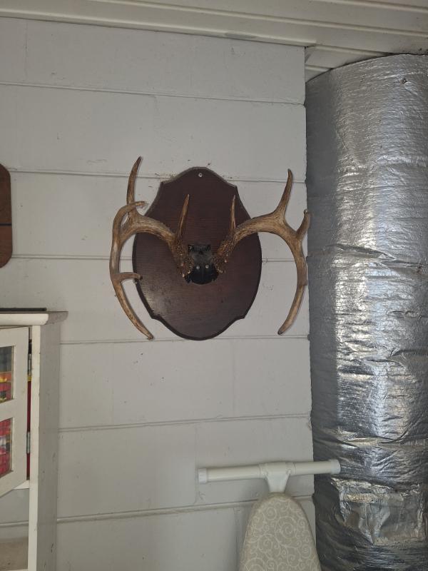 Sale Photo Thumbnail #2