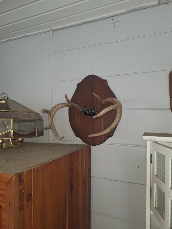 Sale Photo Thumbnail #4