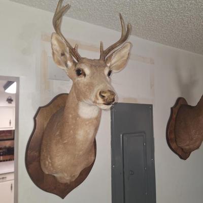 Sale Photo Thumbnail #14