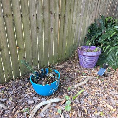 Sale Photo Thumbnail #18