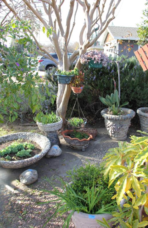 Sale Photo Thumbnail #3