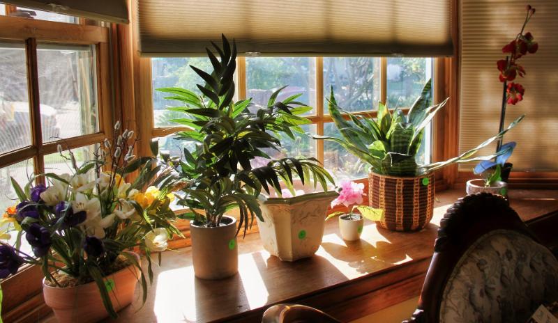 Sale Photo Thumbnail #12