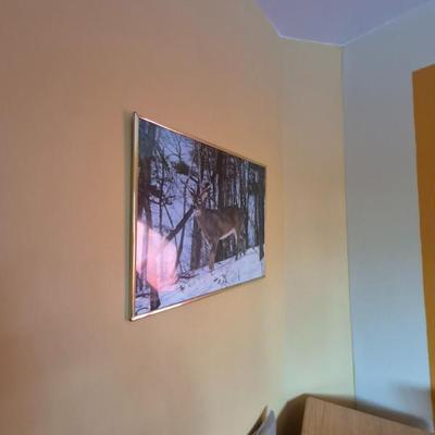 Sale Photo Thumbnail #32