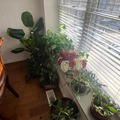 Sale Photo Thumbnail #30