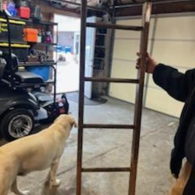 Sale Photo Thumbnail #5