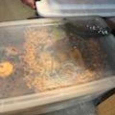 Sale Photo Thumbnail #68