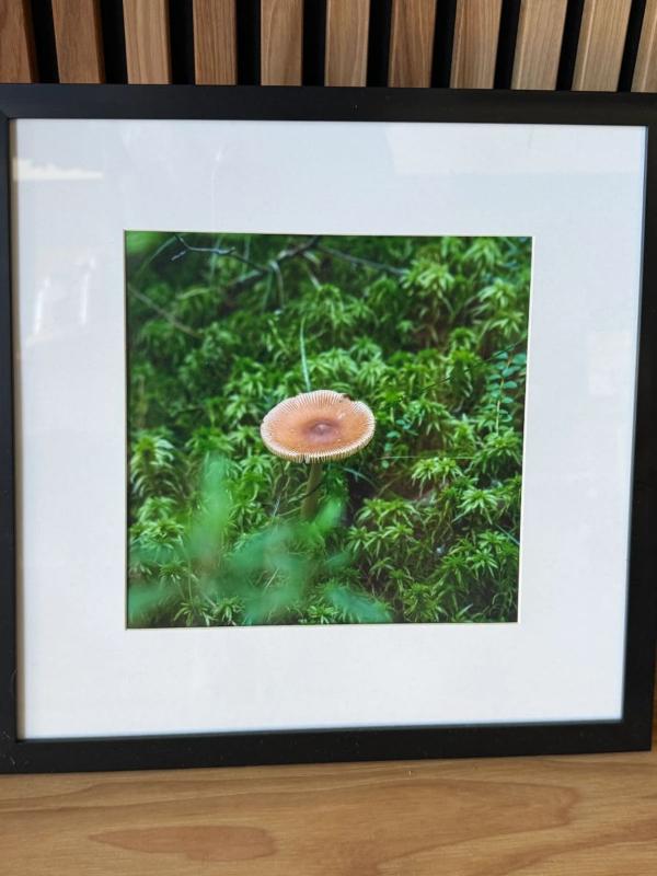 Sale Photo Thumbnail #62