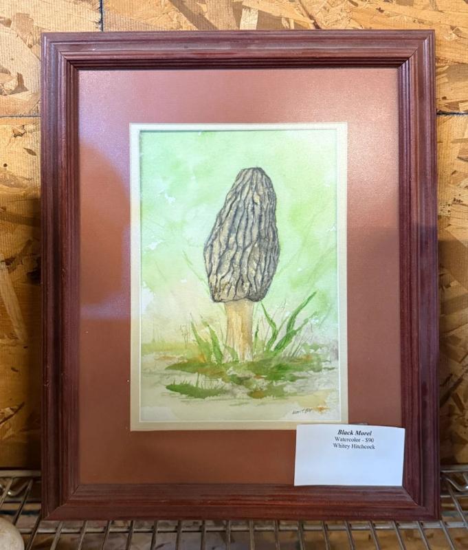 Sale Photo Thumbnail #59