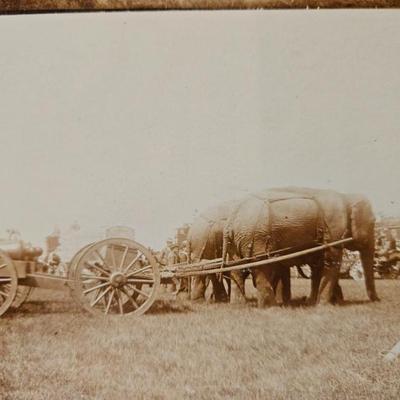 Sale Photo Thumbnail #105