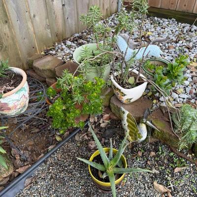 Sale Photo Thumbnail #40