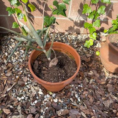 Sale Photo Thumbnail #11