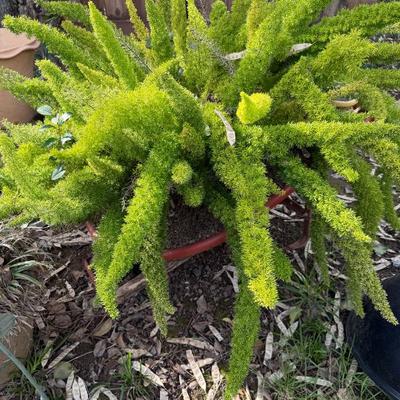 Sale Photo Thumbnail #44