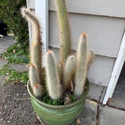 Sale Photo Thumbnail #24