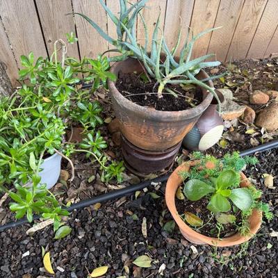 Sale Photo Thumbnail #36