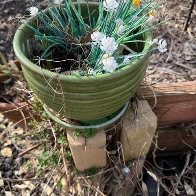 Sale Photo Thumbnail #45