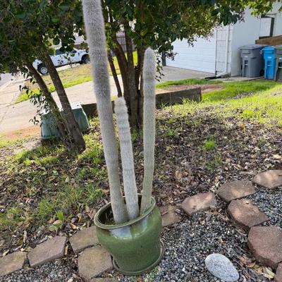 Sale Photo Thumbnail #62